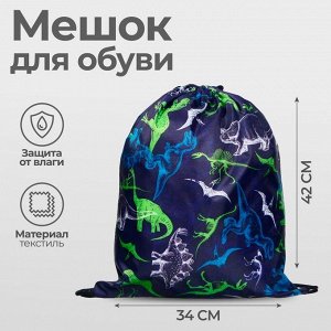 Мешок для обуви 420 х 340 мм, Calligrata МСО-5С, (мягкий полиэстер, плотность 210D), ""Динозаврики""
