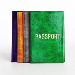 Обложка для паспорта, цвет МИКС
