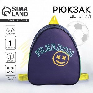 Рюкзак детский для мальчика Freedom, 23x20.5 см, отдел на молнии, синий