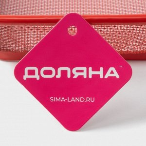 Крышка - сито Доляна «2 в 1», 28*20 см, красная