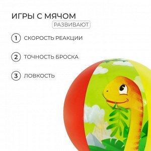 Мяч надувной «На волне», детский, d=51 см