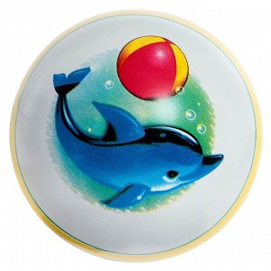 Мяч резиновый, диаметр 15 см, МИКС