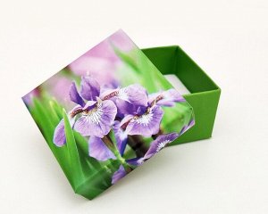 Подарочная коробочка, Ирис