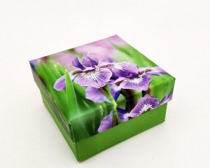 Подарочная коробочка, Ирис
