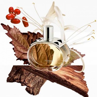 Новинка 2024 Barénia Hermès