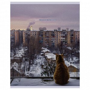 Тетрадь 48л., А5, клетка BG ""Двор"", суперэконом
