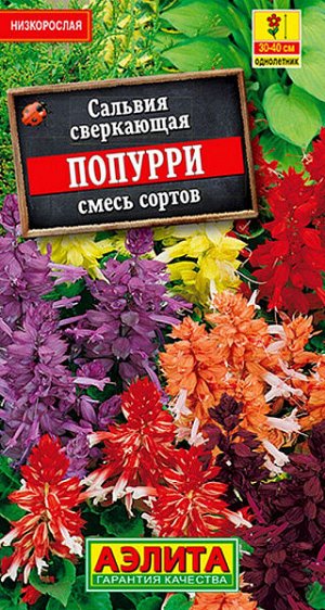 Сальвия Сверкающая Попурри (смесь сортов)