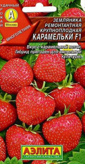 Земляника ремонтантная Карамельки F1 (клубника)