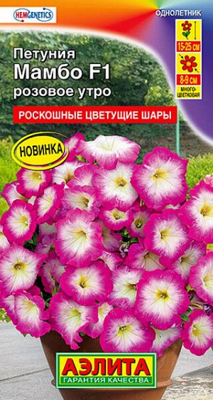 Петуния Мамбо розовое утро F1 (многоцветковая)