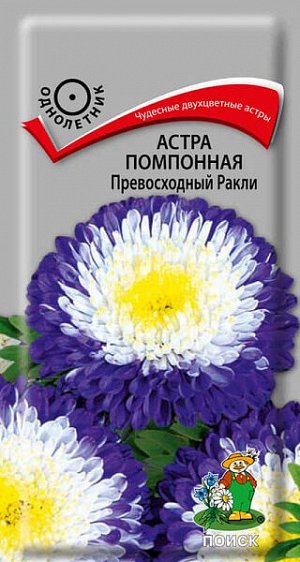 Астра Помпонная Превосходный Ракли