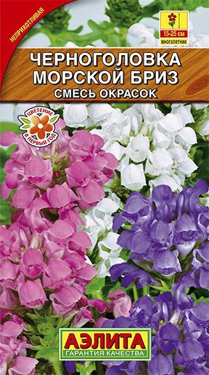 Черноголовка Морской бриз (смесь окрасок)