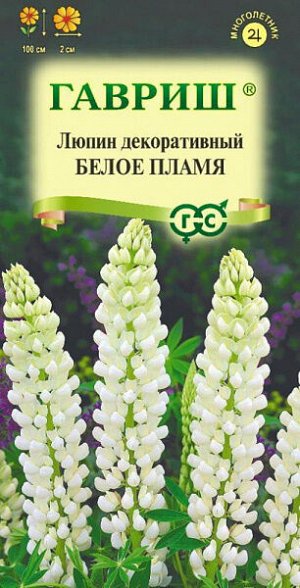 Люпин Белое пламя