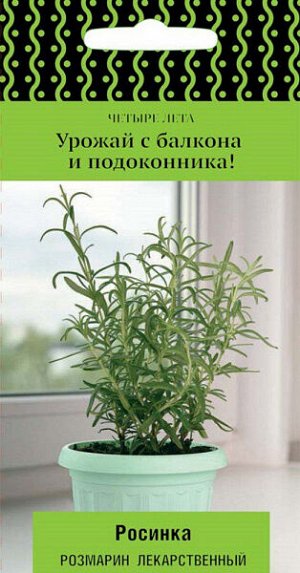 Розмарин лекарственный Росинка