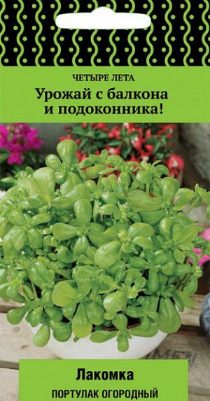 Портулак Лакомка (огородный)