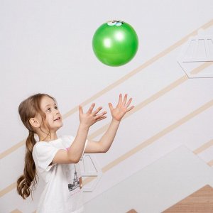 Мяч детский ZABIAKA «Пчёлка», d=22 см