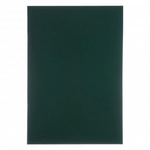 Тетрадь А4, 96 листов в линейку «Зелёная», бумвинил