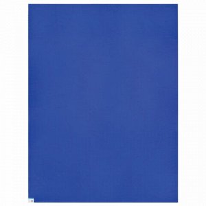 Коврик антибактериальный многослойный липкий 60х90 см, КОМПЛЕКТ 10 шт., 30 слоев