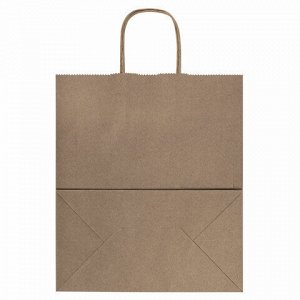 Крафт-пакет бумажный 22х12х25 см, КОМПЛЕКТ 50 шт., крученые ручки, плотность 90 г/м2, LAIMA ECO CRAFT, 609684