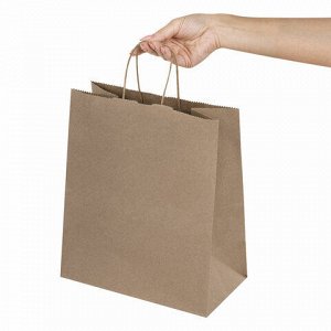 Крафт-пакет бумажный 22х12х25 см, КОМПЛЕКТ 50 шт., крученые ручки, плотность 90 г/м2, LAIMA ECO CRAFT, 609684