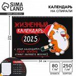 Календарь 2025 настенный, на спирали «Жизненный», 34 х 24 см