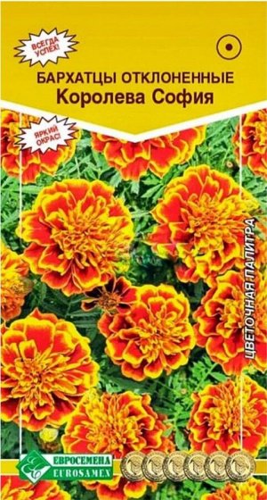 Цветы Бархатцы Королева София ЦВ/П (ЕС) 0,2гр однолетник 20-30см