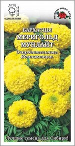 Цветы Бархатцы Мериголд Мунлайт ЦВ/П (СОТКА) 0,1гр однолетник 30-40см