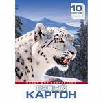 Картон белый А3 10л &quot;Хатбер Снежный барс&quot; 1/33 арт. 10Кб3_11345