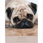 Дневник для ст.кл. &quot;Канц-Эксмо. Домашние любимцы. Дизайн 2 (18)&quot; 7БЦ арт. ДДЛ184802