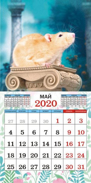 Перекидной МАЛЫЙ календарь на скрепке на 2020 год "Год крысы. Фото"