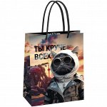 Пакет подарочный 18*23*10см MESHU &quot;&quot;Cool guy&quot;&quot;,  глянцевая ламинация