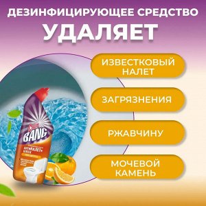 Силит Бэнг Чистящее средство Утенок для туалета "Анти-налет Цитрус" 750 мл