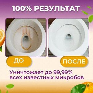 Силит Бэнг Чистящее средство Утенок для туалета "Анти-налет Цитрус" 750 мл