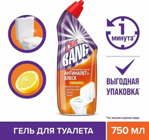 Силит Бэнг Чистящее средство Утенок для туалета "Анти-налет Цитрус" 750 мл