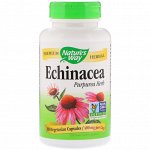 Nature&amp;amp - #x27 - s Way, Echinacea Purpurea Herb, 400 mg, 180 Vegetarian Capsules