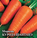 Морковь Курода Шантанэ 25,0 г