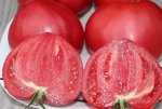 Томат Скрытые сокровища вечной земли