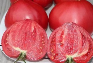 Томат Скрытые сокровища вечной земли