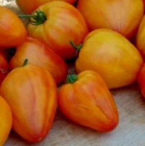 Томат Русское бычье сердце Доусона, сорт