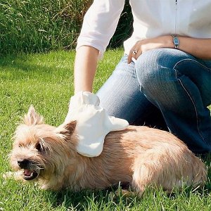 Щётка-рукавица массажная для животных