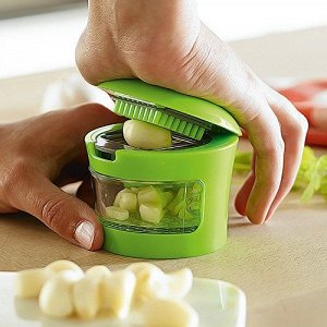 Измельчитель чеснока Garlic Chopper (RA-5312)