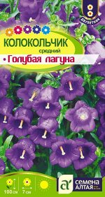 Цветы разные 2