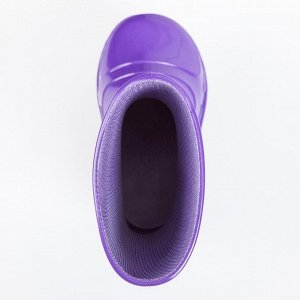 Сапоги малодетские арт. Д14-К, цвет фиолетовый, размер 24 (14,2 см)