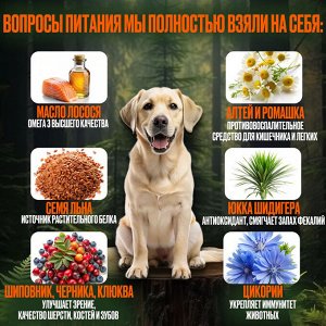 Сухой корм Wonderfur для взрослых собак с Говядиной и Рисом. 3 кг. Супер премиум. Россия