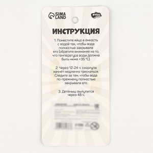 Растущие игрушки «Динозаврики»
