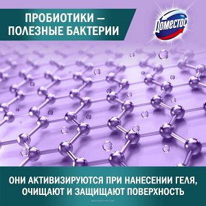 NEW ! Domestos Доместос чистящее средство с активными пробиотиками Цветочная свежесть 750 мл
