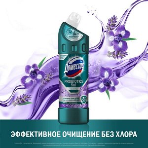 NEW ! Domestos Доместос чистящее средство с активными пробиотиками Цветочная свежесть 750 мл