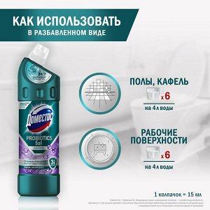 NEW ! Domestos Доместос чистящее средство с активными пробиотиками Цветочная свежесть 750 мл