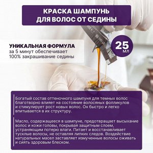 Шампунь для окрашивания волос - КОРИЧНЕВЫЙ марки “MEN’S MASTER 10*25 мл