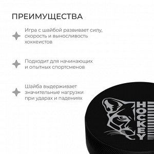 Шайба хоккейная Winter Star, взрослая, d=7,6 см
