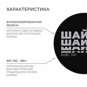 Шайба хоккейная Winter Star, взрослая, d=7,6 см